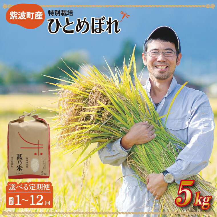 【ふるさと納税】【選べる定期便】ひとめぼれ 5kg 1回 2ヵ月 3ヵ月 6ヶ月 12ヶ月【特別栽培米】 甚乃米 岩手県 紫波町産 美味しい おこめ 農家より直送（AC017）
