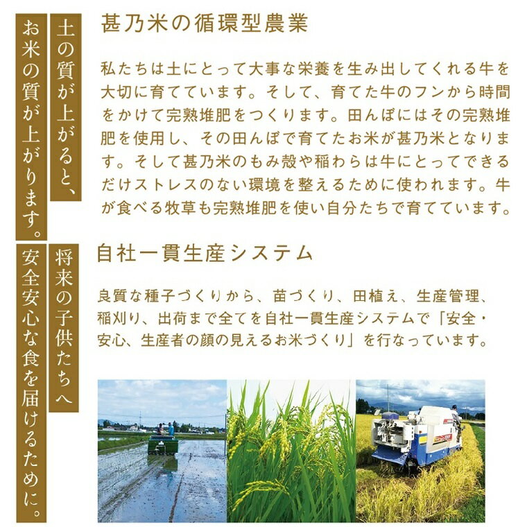 【ふるさと納税】令和7年産 ひとめぼれ 白米 10kg【甚乃米 特別栽培米】＼選べる 配送月／ さめても美味しい おこめ 白米 岩手県 紫波町産 (AC023)