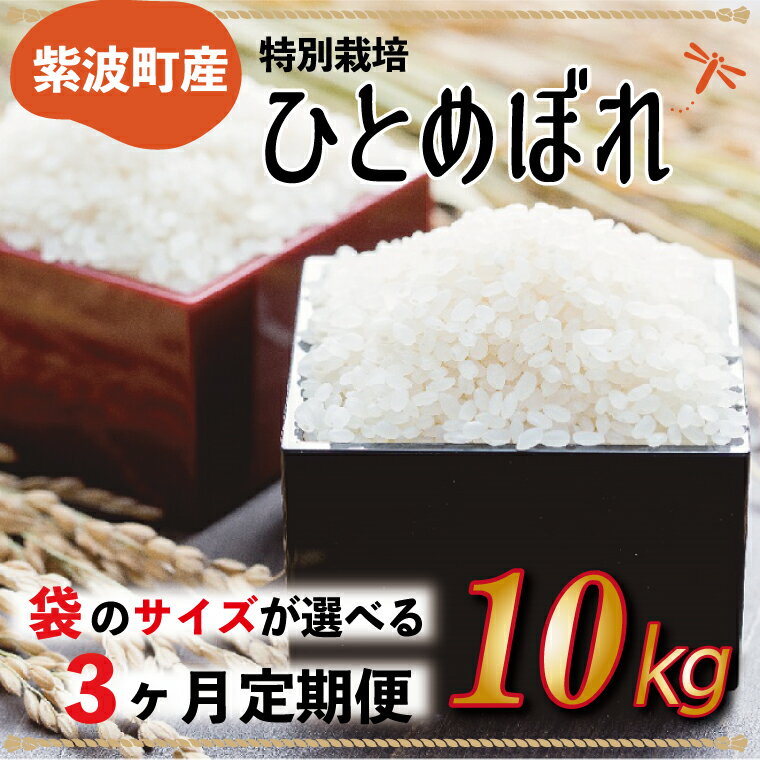 ふるさと納税 米 岩手県 定期便 令和5年産 白米 [3ヶ月連続お届け]袋を選べる ひとめぼれ 岩手県紫波町産ひとめぼれ 5kg×2 10kg [特別栽培米](AC011|AC012)