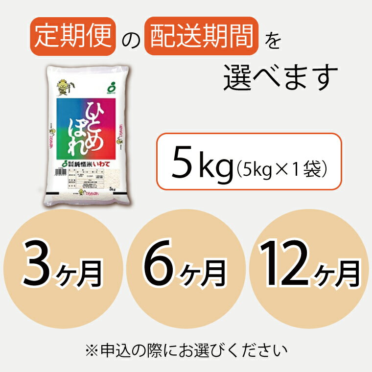 【ふるさと納税】 定期便 5kg 令和5年産 白米【毎月連続お届け】 ふるさと納税 米 岩手県 ひとめぼれ 岩手県産 ひとめぼれ 5kg（AE133）（AE134）（AE102）