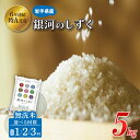 【ふるさと納税】米 無洗米 5kg 銀河のしずく \ 選べる 回数 単品/2回/3回 定期便 / ★令和7年産 先行予約★ 特A受賞 お米 ご飯 ライス 岩手県産