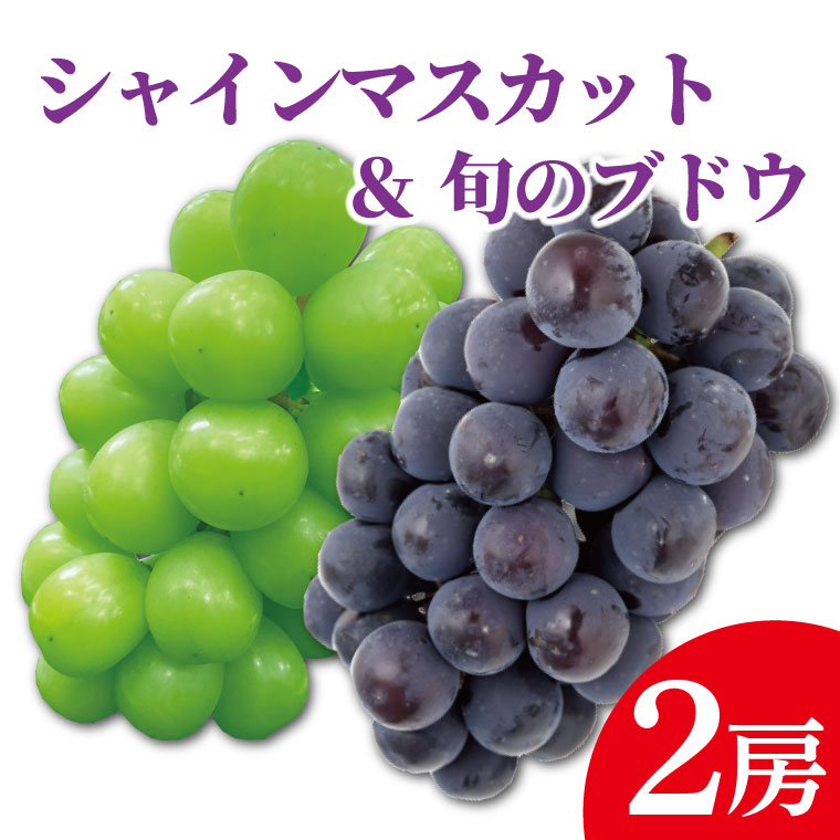 【ふるさと納税】【先行予約】シャインマスカットと旬のぶどう 食べ比べ2房セット 約1kg（DH003）のサムネイル