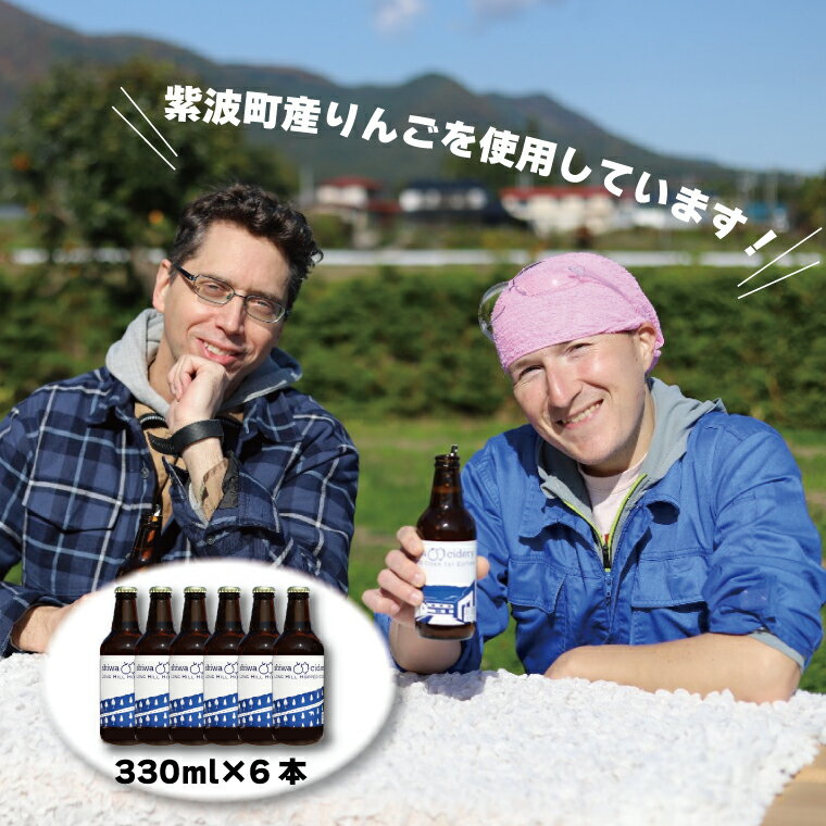 【ふるさと納税】 紫波町産りんごを使ったホップサイダー（330ml） 6本セット（AY001-1）