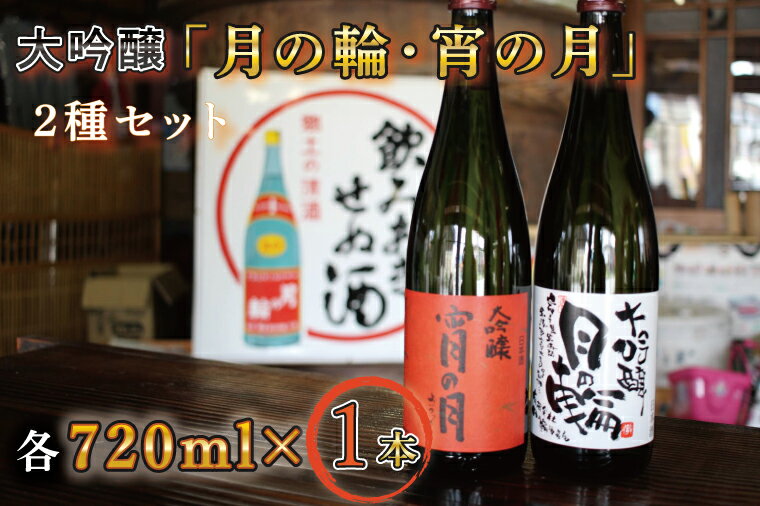 日本酒 飲み比べセット ギフト [月の輪]大吟醸2種セット(AW007-1)