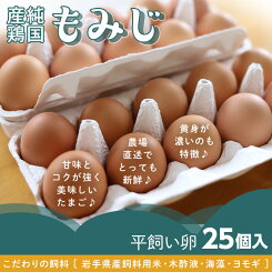 【ふるさと納税】卵玉子たまご鶏卵51-01【純国産鶏もみじ】平飼い卵25個入り