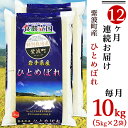 【ふるさと納税】＜米＞＜定期便＞Z10-0【12ヶ月連続お届け】紫波町産ひとめぼれ10kg（元年産）