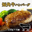 21位! 口コミ数「1件」評価「1」短角牛ハンバーグ ビーフ100%! 150g×6個
