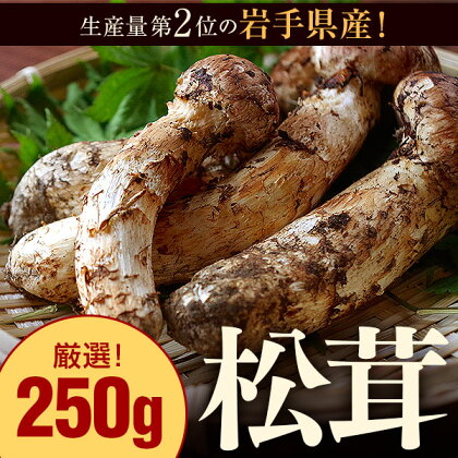 岩手県産天然松茸 約250g