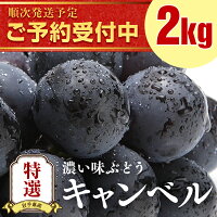 返礼品画像
