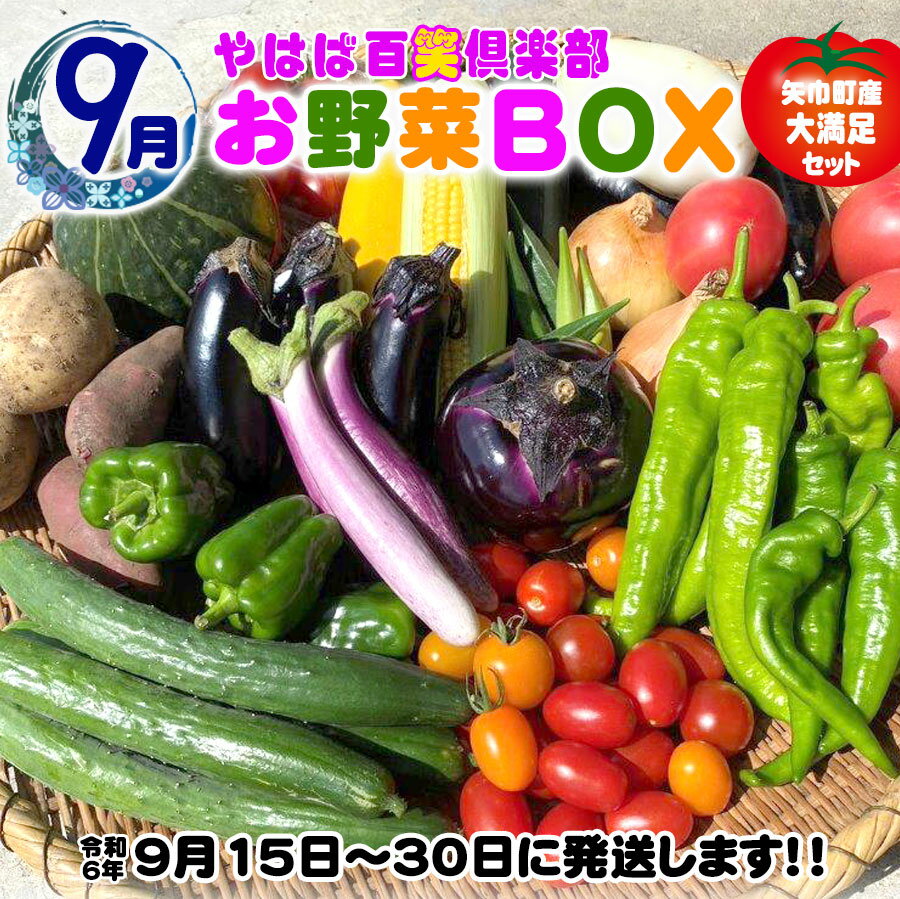 【ふるさと納税】数量限定　矢巾町産　秋野菜セット【10種】9月発送