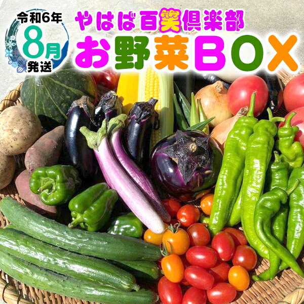 4位! 口コミ数「0件」評価「0」数量限定　矢巾町産　夏野菜セット【10種】8月発送