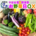 41位! 口コミ数「0件」評価「0」数量限定　矢巾町産　秋野菜セット【10種】9月発送