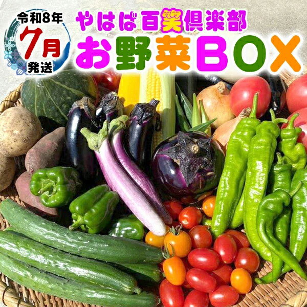【ふるさと納税】数量限定　矢巾町産　夏野菜セット【10種】7月発送