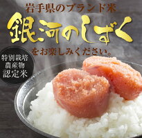 【ふるさと納税】ハッピーライスの徳田米平成30年度産銀河のしずく5Kg×2