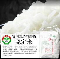 返礼品画像