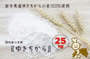 14位! 口コミ数「1件」評価「4」パン作りにオススメ！ゆきちから25kg　岩手県産ゆきちから100％の自慢の国産強力粉