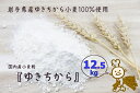 パン作りにオススメ！ゆきちから12.5kg（2.5kg×5袋）　岩手県産ゆきちから100％の自慢の国産強力粉