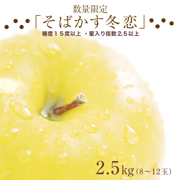 【ふるさと納税】【数量限定】12月発送　糖度15.0以上　『そばかす冬恋』2.5kg（8玉～12玉）のサムネイル