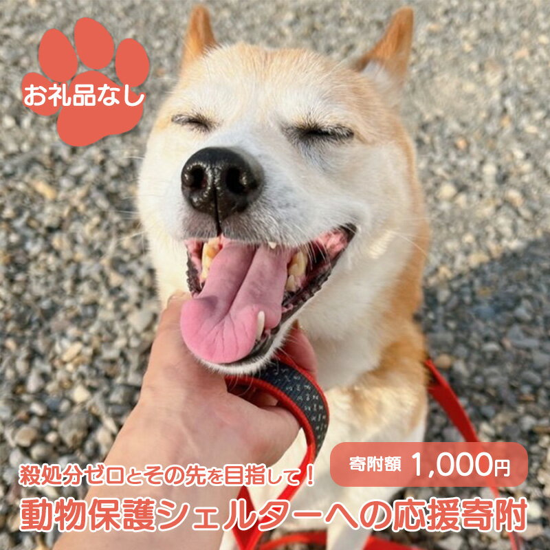 【ふるさと納税】【お礼品なし】殺処分ゼロとその先を目指して! 動物保護シェルターへの応援寄附 1,000円