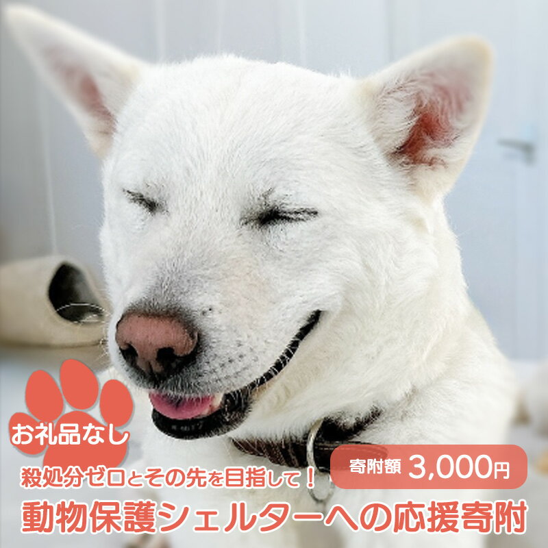 【ふるさと納税】【お礼品なし】殺処分ゼロとその先を目指して! 動物保護シェルターへの応援寄附 3,000円
