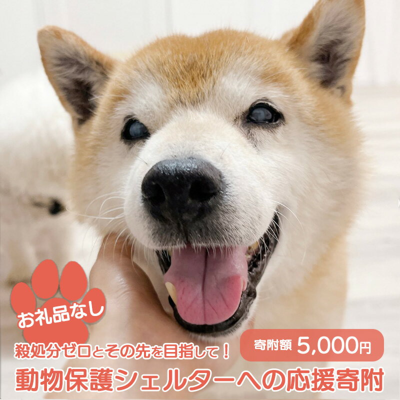 【ふるさと納税】【お礼品なし】殺処分ゼロとその先を目指して! 動物保護シェルターへの応援寄附 5,000円