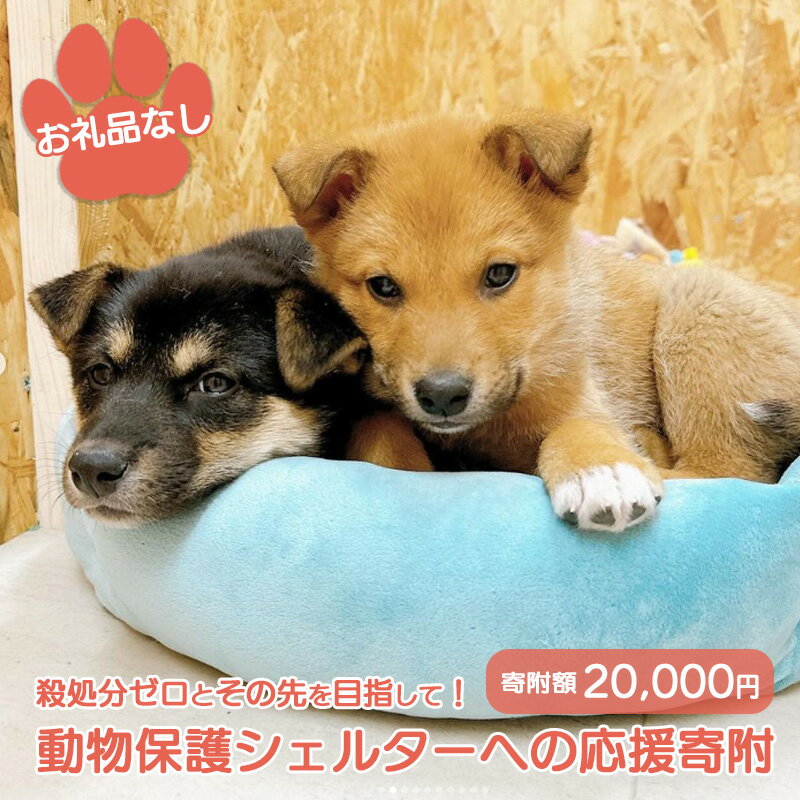 【ふるさと納税】【お礼品なし】殺処分ゼロとその先を目指して! 動物保護シェルターへの応援寄附 20,000円