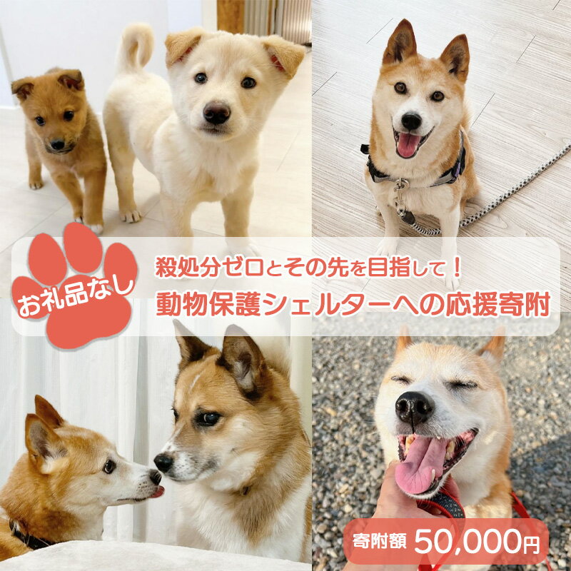 【ふるさと納税】【お礼品なし】殺処分ゼロとその先を目指して! 動物保護シェルターへの応援寄附 50,000円