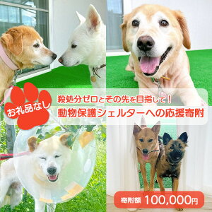 【ふるさと納税】【お礼品なし】殺処分ゼロとその先を目指して! 動物保護シェルターへの応援寄附 100,000円