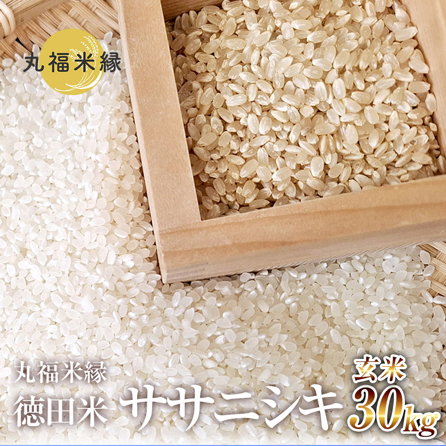 【ふるさと納税】令和7年産　素材の味を引き立てるカラダにやさしいお米　徳田米　ササニシキ玄米　30kg