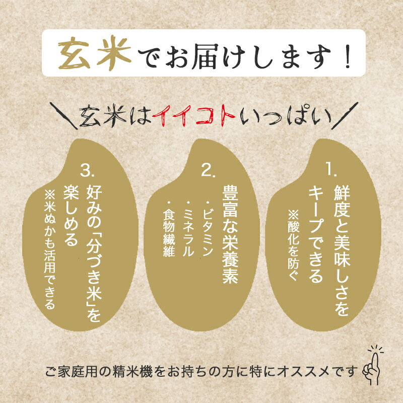 【ふるさと納税】令和7年産　素材の味を引き立てるカラダにやさしいお米　徳田米　ササニシキ玄米　30kg/岩手県産 玄米 米 コメ こめ 徳田米 献上米 ブランド米 産地直送 厳選 鮮度 旬 米 ごはん おにぎり めし ふっくら 人気 お取り寄せ 高評価 ふるさと 岩手県 矢巾町
