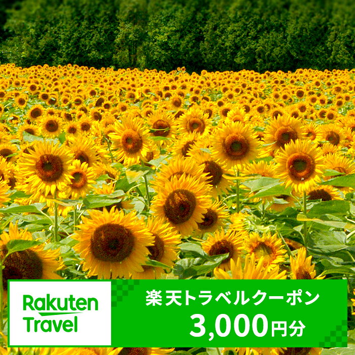 【ふるさと納税】岩手県矢巾町の対象施設で使える楽天トラベルクーポン寄付額10,000円