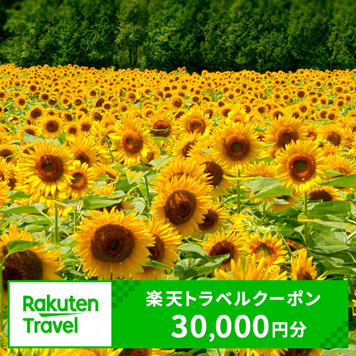 内容 岩手県矢巾町の対象施設で使える【楽天トラベルクーポン　寄付額100,000円】クーポン30,000円分 ※転売不可 備考 ※画像はイメージです。 ・ふるさと納税よくある質問はこちら ・寄附申込みのキャンセル、返礼品の変更・返品はできません。あらかじめご了承ください。クーポン情報 寄付金額 100,000 円 クーポン金額 30,000 円 対象施設 岩手県矢巾町 の宿泊施設 宿泊施設はこちら クーポン名 【ふるさと納税】 岩手県矢巾町 の宿泊に使える 30,000 円クーポン ・myクーポンよりクーポンを選択してご予約してください ・寄付のキャンセルはできません ・クーポンの再発行・予約期間の延長はできません ・寄付の際は下記の注意事項もご確認ください 入金確認後、注文内容確認画面の【注文者情報】に記載の住所にお送りいたします。 発送の時期は、寄附確認後60日以内を目途に、お礼の返礼品とは別にお送りいたします。