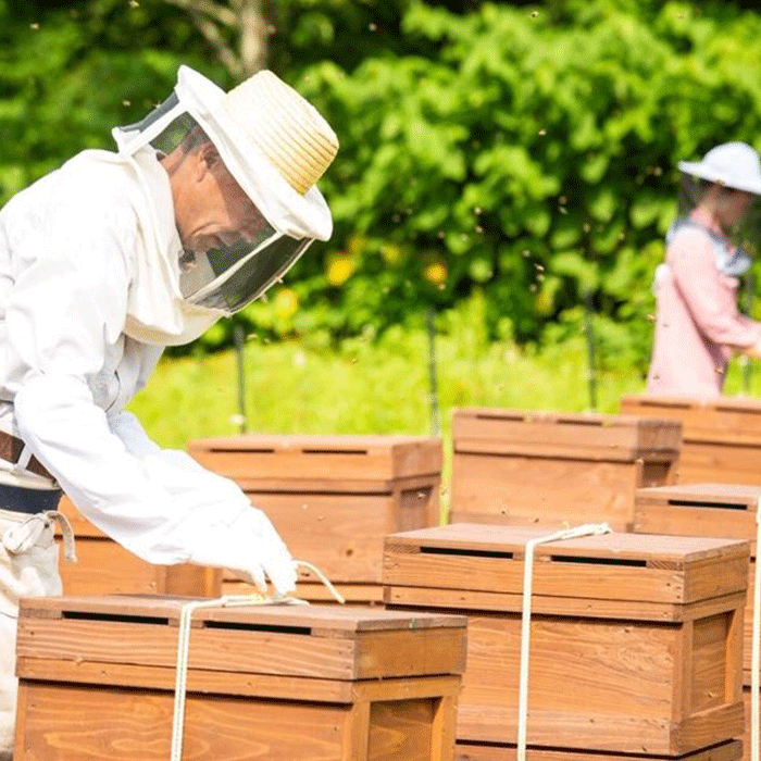 【ふるさと納税】 日本一に輝いた巣鴨養蜂園 おまかせ150gはちみつ3本セット