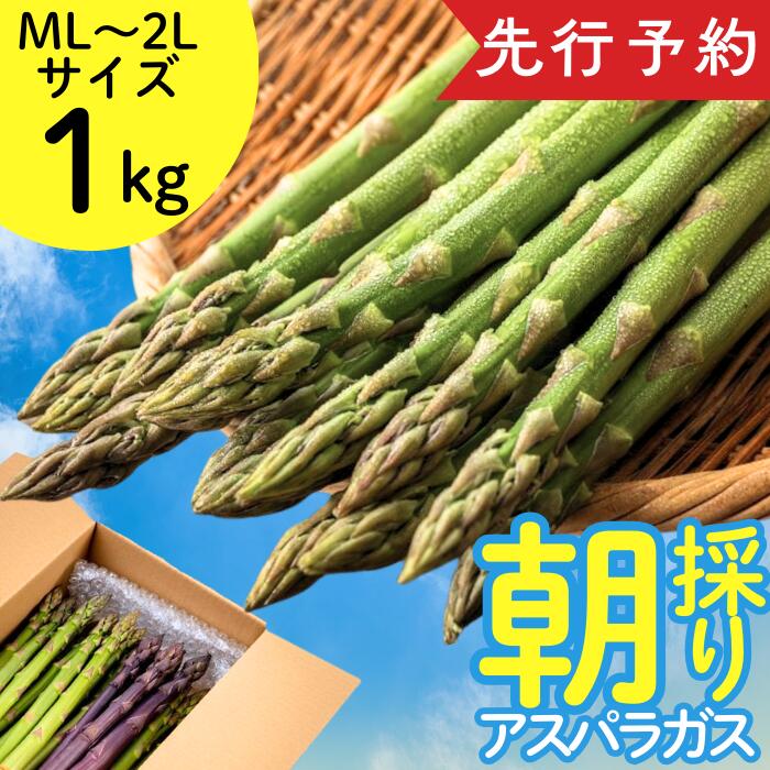 【ふるさと納税】<先行予約>やまに農産「朝採りアスパラガス」1kg(限定10セット)岩手県 西和賀町 やまに アスパラ あすぱら