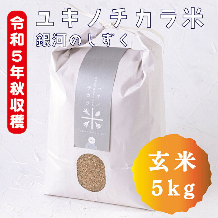 ڤդ뤵Ǽǡۥ業ΥơϤΤ5kg