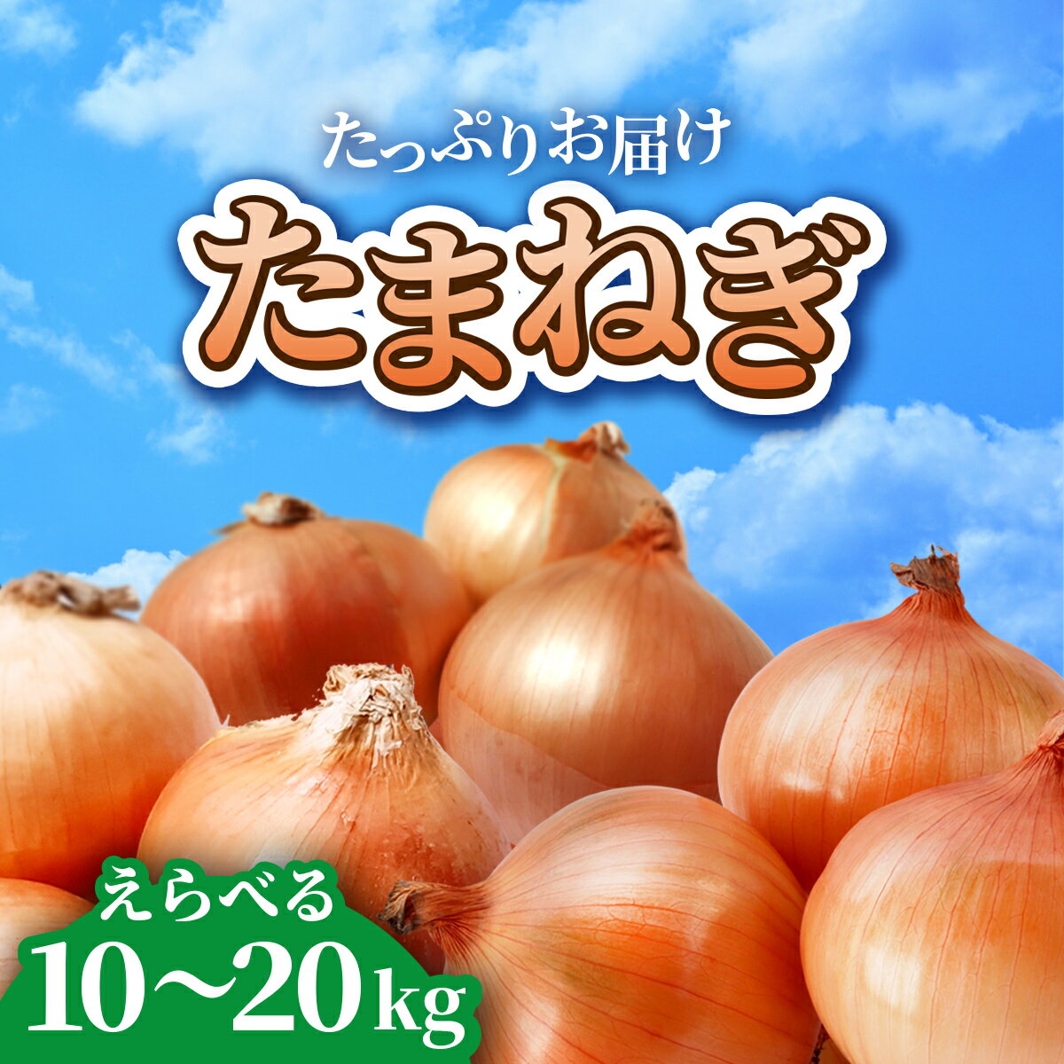 【ふるさと納税】玉ねぎ たまねぎ 訳あり 10kg ～ 20kg 【先行予約】令和6年発送 金ケ崎町 産 金ヶ崎 岩手県 よこみちファーム 野菜 タマネギ 玉葱 オニオン M～Lサイズ 不揃い バラバラ 皮剥け 10キロ 20キロ 肉じゃが サラダ 新鮮 高騰 高騰中 高騰野菜 甘い ハンバーグ