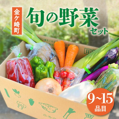 旬のお野菜セット 9〜15品 季節 旬 春野菜 夏野菜 秋野菜 金ケ崎町 旬 新鮮 野菜 セット 詰め合わせ おまかせ