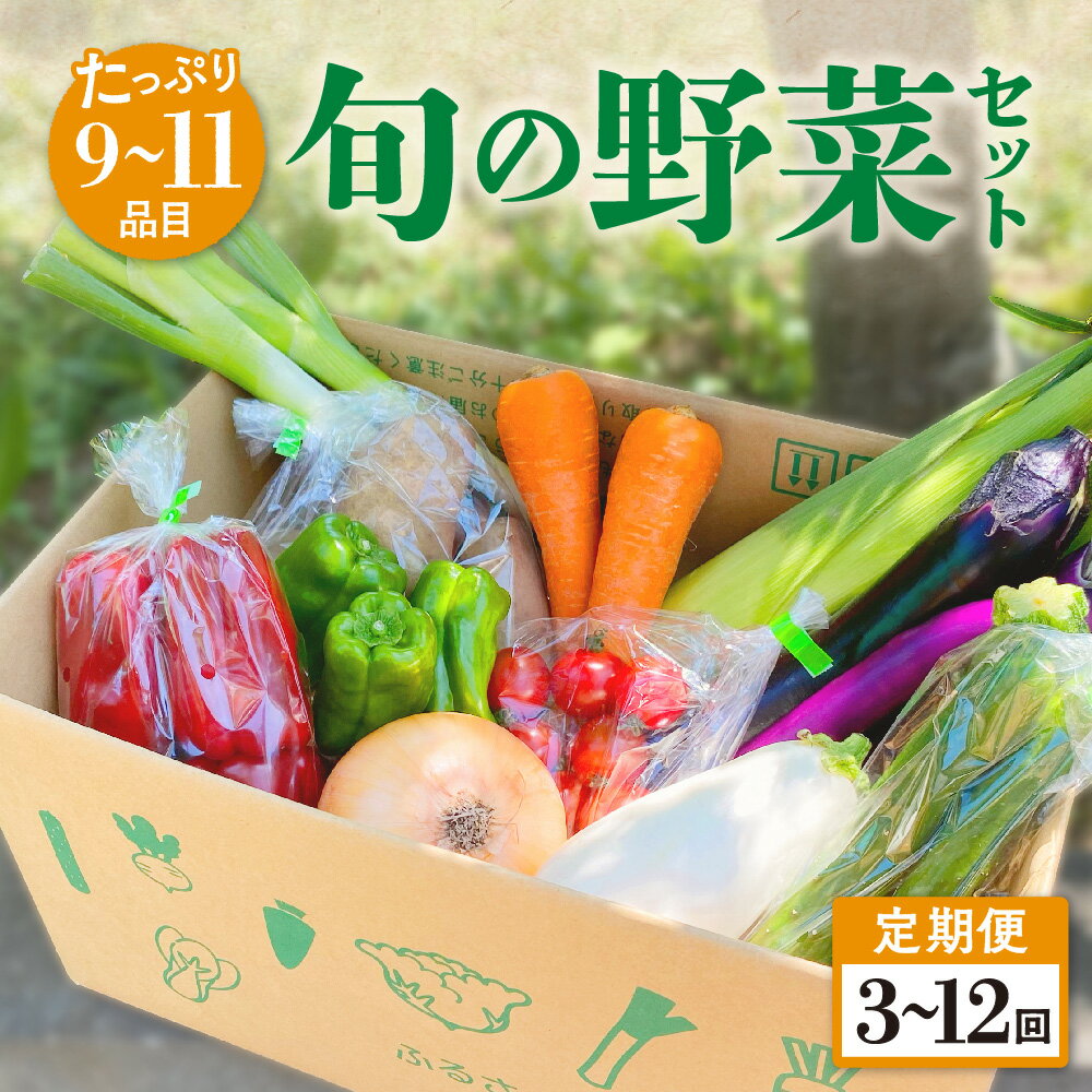 【ふるさと納税】【定期便／3ヶ月〜12ヶ月】たっぷり旬の野菜セット 9～11品目 3ヶ月 6ヶ月 12ヶ月 定..