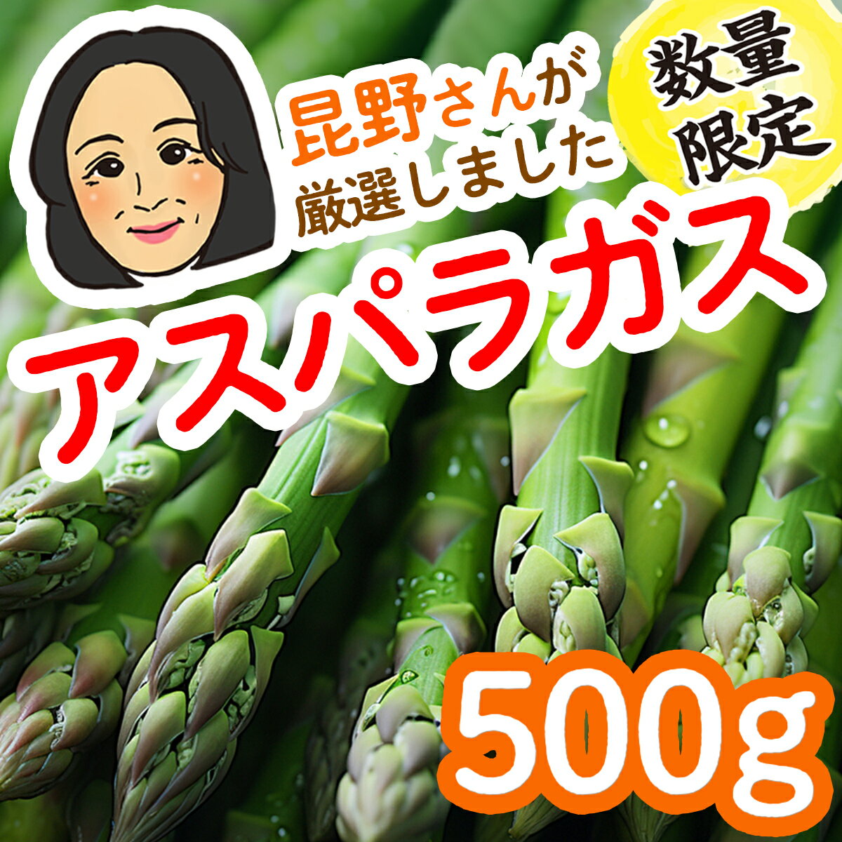 数量限定!金ケ崎町の名産アスパラガス 500g 〜 1kg アスパラ グリーンアスパラ 産地直送 旬 春 お取り寄せ 贈り物 ギフト 冷蔵配送 冷蔵 金ケ崎 金ヶ崎 岩手