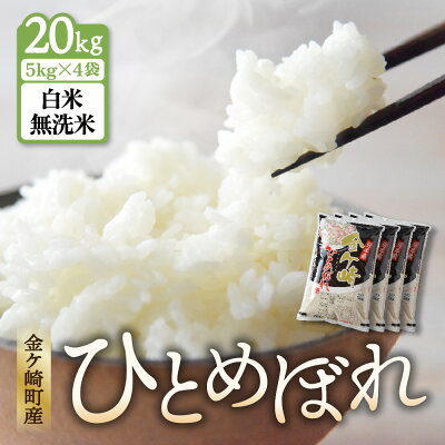 楽天ふるさと納税　【ふるさと納税】 ひとめぼれ 無洗米 精米 20kg (5kg×4袋) 金ケ崎町産 お米 自宅 炊飯 お弁当 袋 岩手県 金ケ崎町 いわて 米 コメ こめ 白米 ブランド米 ごはん ご飯 白飯 飯 おにぎり 岩手 金ケ崎