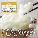  ひとめぼれ 無洗米 精米 5kg 定期便 ( 3ヶ月 6ヶ月 12ヶ月) 金ケ崎町産 お米 自宅 炊飯 お弁当 袋 岩手県 金ケ崎町 いわて 米 コメ こめ 白米 ブランド米 ごはん ご飯 白飯 飯 おにぎり 岩手 金ケ崎