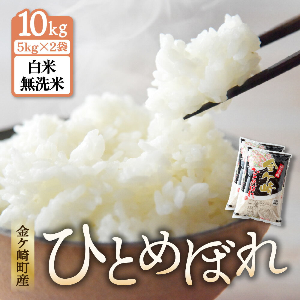 ひとめぼれ 無洗米 精米 10kg (5kg×2袋) 金ケ崎町産 お米 自宅 炊飯 お弁当 袋 岩手県 金ケ崎町 いわて 米 コメ こめ 白米 ブランド米 ごはん ご飯 白飯 飯 おにぎり 岩手 金ケ崎