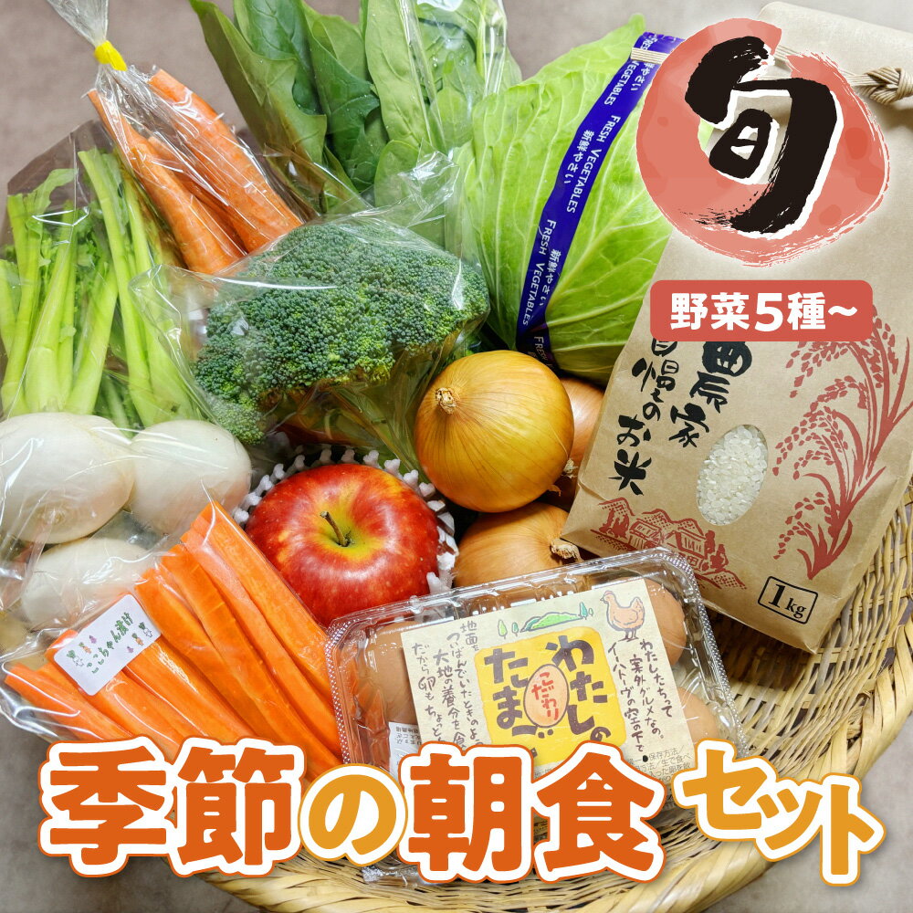 22位! 口コミ数「0件」評価「0」産直ろくちゃん 旬 野菜 朝食 セット 野菜5品以上 米 たまご ピクルス お米 果物 りんご 季節 おまかせ 詰め合わせ 岩手県 金ケ崎町