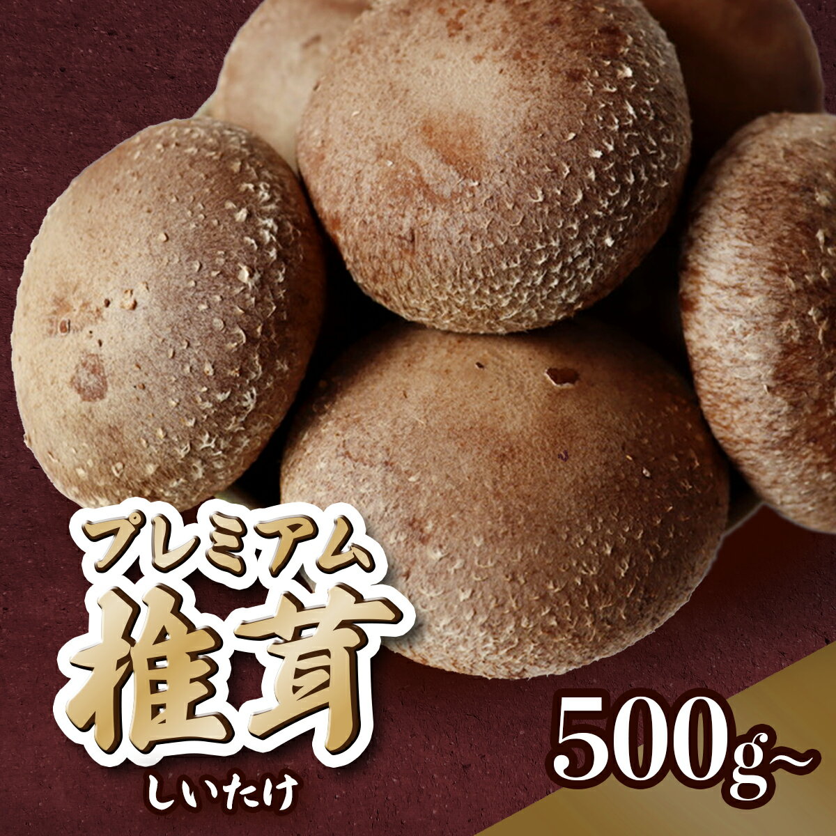 椎茸 国産 菌床 プレミアム 500g 1kg 2kg 生椎茸 生しいたけ しいたけ きのこ 出汁 肉厚 料理 お取り寄せ 岩手 岩手県 岩手県産 金ケ崎 金ケ崎町 金ケ崎町産 新着