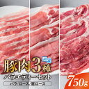 【ふるさと納税】豚肉 真空パック スライス 750g (250g×3袋) バラ ロース 肩ロース 国 ...