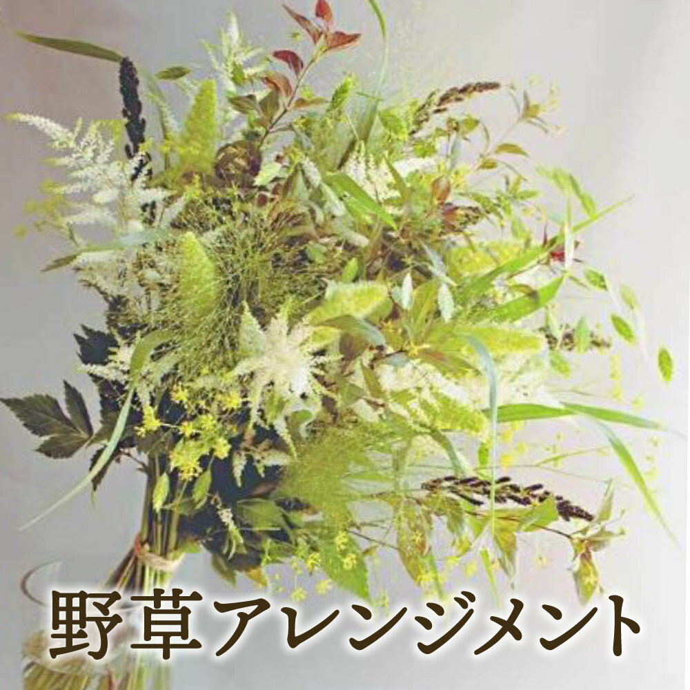 〈先行予約〉ZASSOプロジェクト 野花が映える季節の花束 花 観葉植物 ガーデニング インテリア 贈り物 ギフト プレゼント 新着