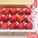 【ふるさと納税】【先行予約】いちご 500g 品種おまかせ とちおとめ 紅ほっぺ やよいひめ さちのか 令和8年産 1月中旬~3月発送 贈答用 ギフト イチゴ ...