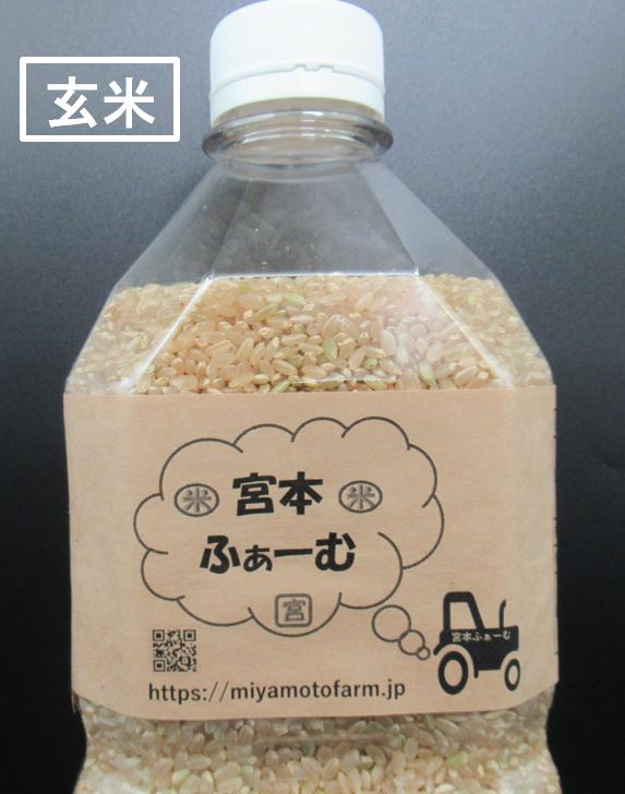 【ふるさと納税】ペットボトル米 岩手県産 ひとめぼれ 玄米 2L 2l ペットボトル 1.8kg × 2本 冷蔵庫 ピッタリ