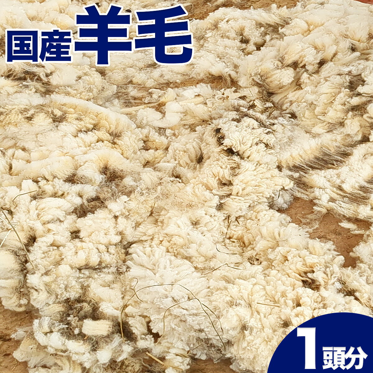 【ふるさと納税】早期予約 国産 羊毛（ 原毛一頭分 2〜3kg ）2026年4月以降発送 手紡ぎ 期間限定 数量..