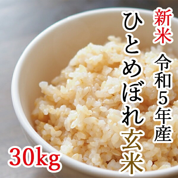 【ふるさと納税】【令和5年産】平泉町産ひとめぼれ 玄米 30kg　岩手県産 ひとめぼれ げんまい 米